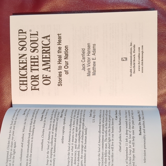 Chicken Soup for the Soul of America - Picture 5 of 10